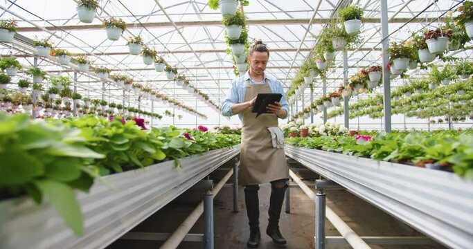 Caucasian young handsome guy florist in apron walking in big greenhouse holding in hands tablet device and looking at flowers. Floral shop, own business, plant pot, floral store, retail concept