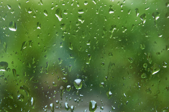 Raindrops on the glass of window in summer with green trees outside background