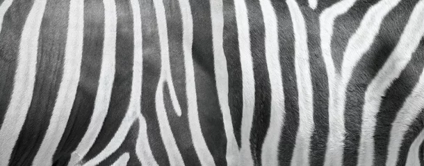 Gordijnen Long sheet of zebra leather © yiam