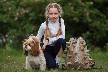 Portrait of teenager girl with school backpack. Schoolgirl with a backpack on the background of the school. shih tzu dog sitting next of a schoolgirl. Girl with a dog at school.