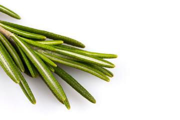 rosemary isolated on white background