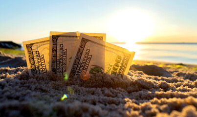 Three dollar bills are buried in sand on sandy beach near sea at sunset dawn