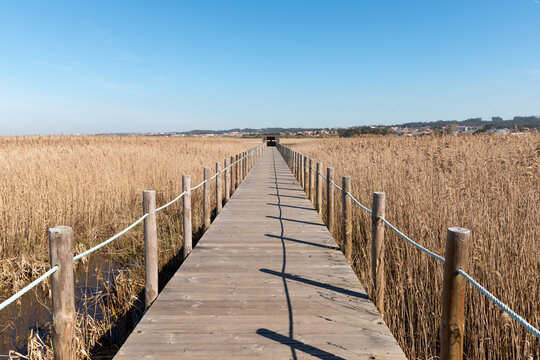 Esmoriz Lagoon, Paramos, Esmoriz, Ovar, Portugal