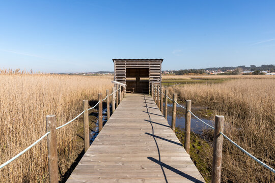 Esmoriz Lagoon, Paramos, Esmoriz, Ovar, Portugal