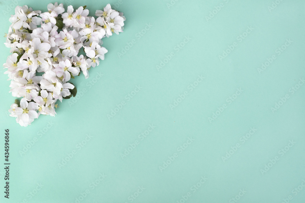 Wall mural bouquet of white flowers on tiffany colour