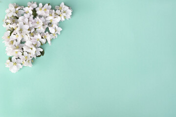 Bouquet of white flowers on tiffany colour
