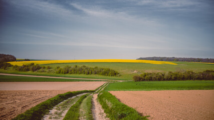 Chemin de terre dans les champs vers la colline