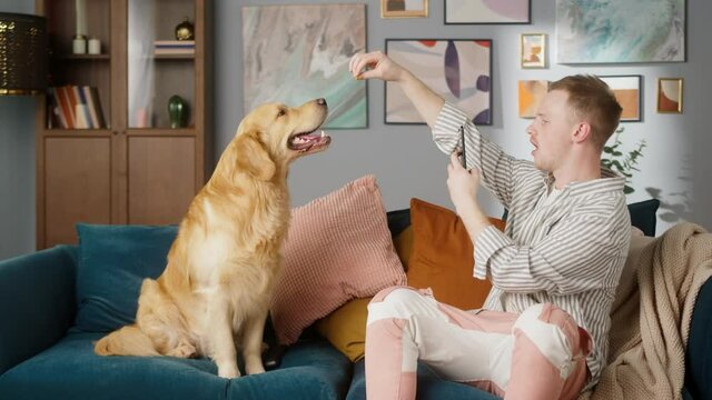 British redhead man sitting on sofa together with dog retriever making photo or video call on camera smartphone. Positive young student man conference call with pet for blog.
