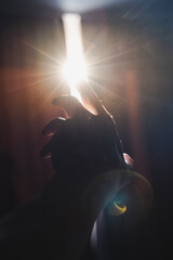Art photo with a hand reaching for a strip of light between the curtains. Blurred image with backlight and highlights. From darkness to light concept.
