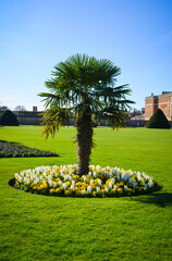 Hampton Court Park