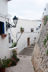 Fototapeta premium Narrow street at Altea. White houses, plants along the street, no people. Spain.
