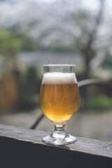 桜の木の庭、グラスにビールで乾杯