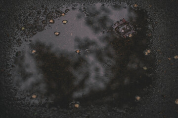 Reflection in a puddle during rain, bad weather 