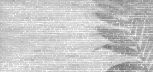 Overlay effect of shadows of tropical leaves on a white brick wall. Abstract neutral nature brickwork concept blurred background. Copy Space. Panorama summer backdrop