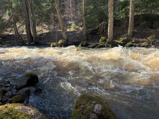 The river is flooding wildly in the springtime. The photo of the rapids is taken in Palakoski...
