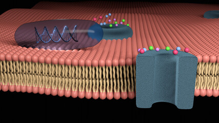 Gene therapy in a transparent soft gelatin capsule on a cell membrane, future treatment (3D Rendering)
