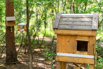 Hanging bird feeder in the forest on a green background. Animal concept care