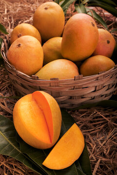Indian Alphonso mango fruits in grass closeup