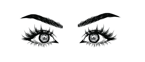 Expressive illustration of the eye. Purposeful look. 