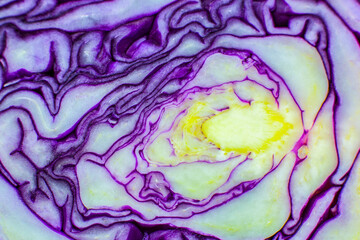 Purple or red cabbage texture inside, Natural eco background. Beautiful wallpaper. Macro photo.