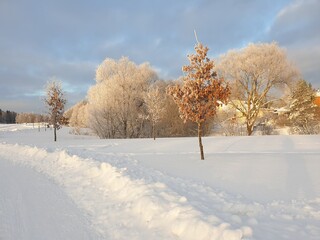 Platinum winter in Finlland