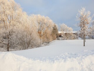 Silver winter in Finlland