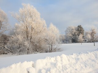 Platinum winter in Finlland