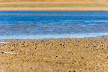 Closeup of clay shore of a lake.