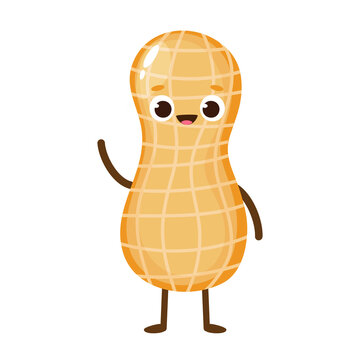 Cute Happy Cartoon Peanut Character