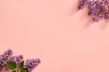 Spring background with fresh lilac flowers, with copy space