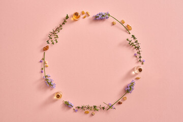 Circle with essential oils and herbs - frankincense, lavender, thyme, on pink background. Aromatherapy or alternative medicine concept.