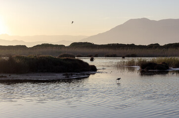 Lago, Reserva Natural Punta Entinas-Sabinar