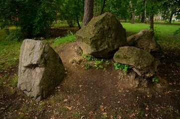 Stones in the forest