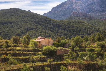 Nature landscape, with a Mediterranean-style rural house surrounded by almond groves, in the interior of Alicante (Spain)