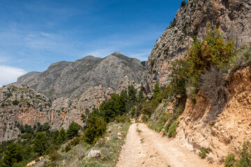 Rural dirt and stony road, through a natural Mediterranean environment.