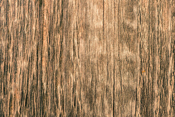 Old wooden wall. View close up