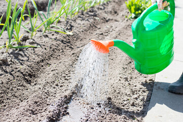 watering can with water to water the garden, planting and caring for plants