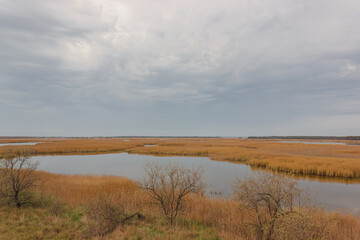 Low river banks and islets overgrown with reeds and bushes, usually flooded in spring.