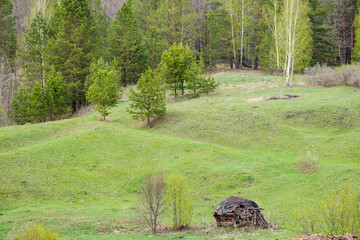a small sprawling hut in a field among the trees