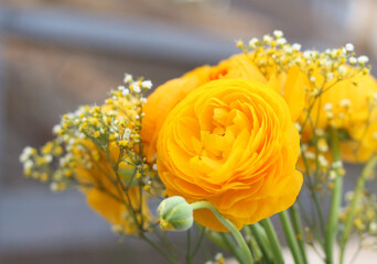 Conceptual photo. Yellow flowers. Photos. Interior photography, flowers. Hapyy birthday. Gift cards
