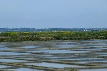 The landscape of the salt marshes of Guérande. France, the 8th may 2021.