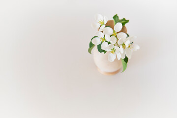 Naklejka na ściany i meble A beautiful a sprig of apple tree with white flowers in a wood vase