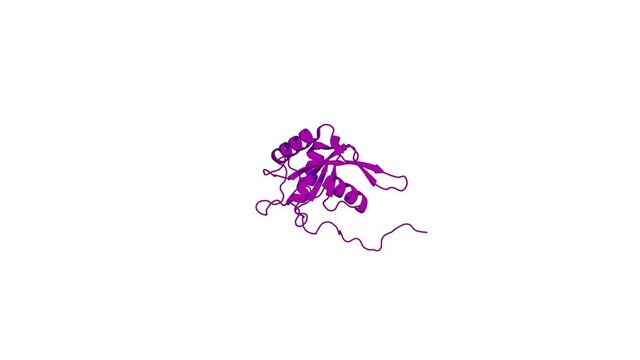 360&ordm; 3D rendering of a biological molecule. Solution NMR Structure of the N-terminal Domain of Putative ATP-dependent DNA Helicase RecG-related Protein from Nitrosomonas europaea