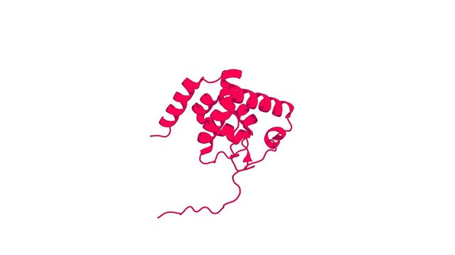360&ordm; 3D rendering of a biological molecule. Solution NMR structure of the ARID domain of human AT-rich interactive domain-containing protein 3A: a human cancer protein interaction network target.
