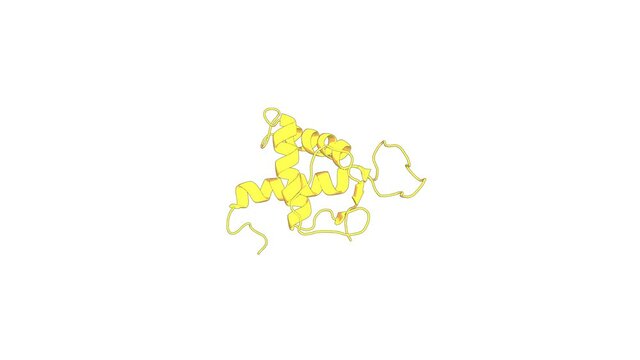360&ordm; 3D rendering of a biological molecule. Solution structure of the DEP domain from human DEP domain-containing protein 1