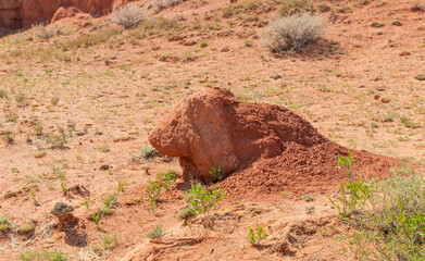 Stone Dog in Desert