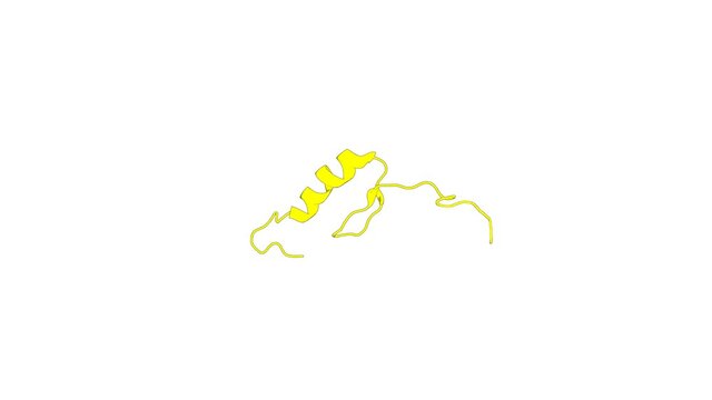 360&ordm; 3D rendering of a biological molecule. Solution structure of the C2H2 type zinc finger (region 342-372) of human Zinc finger protein 473