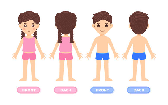 Boy and girl. Front and back views. Children in a swimsuit and underwear. Color flat cartoon style. Template for medical education template. White background. Vector stock illustration.