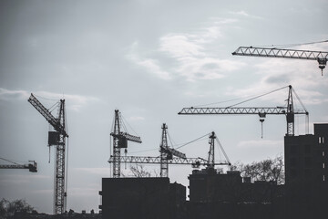 many construction cranes on construction sites