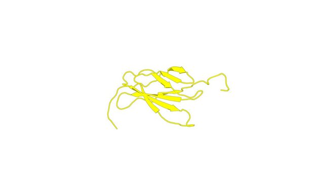 360&ordm; 3D rendering of a biological molecule. Solution structures of the fn3 domain of human collagen alpha-1(XX) chain